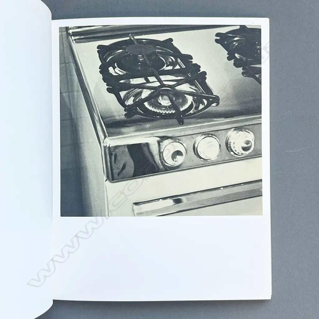 EDWARD RUSCHA: VARIOUS SMALL FIRES Image 1++